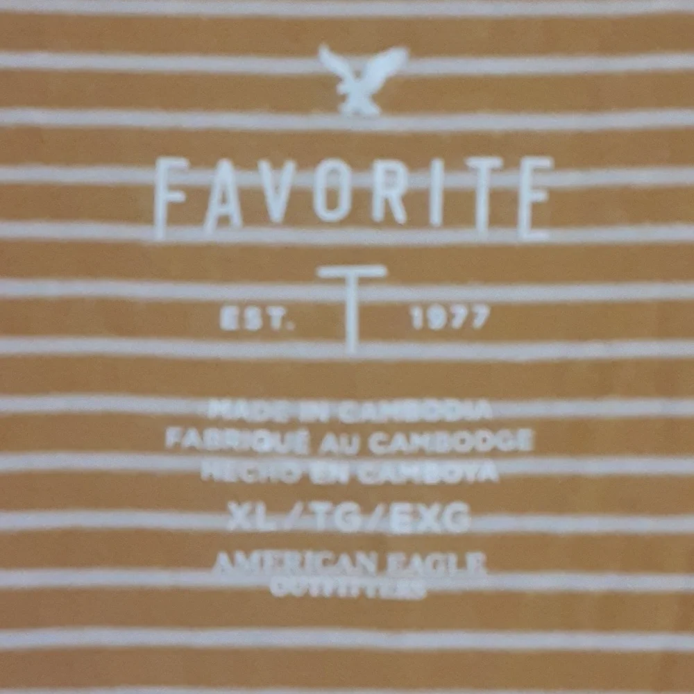 American Eagle Favorite Tee